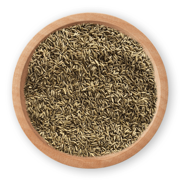 Cumin Seeds - Europe