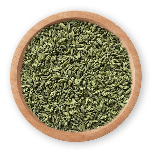 Fennel Seeds - UK