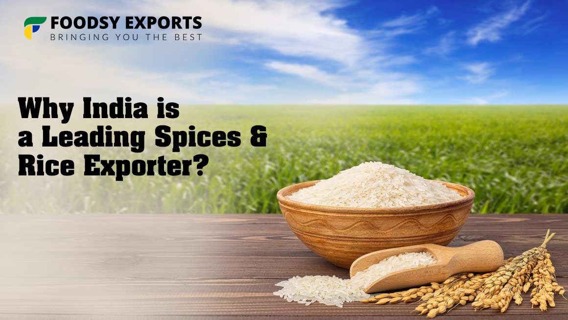 Rice Exporter in India