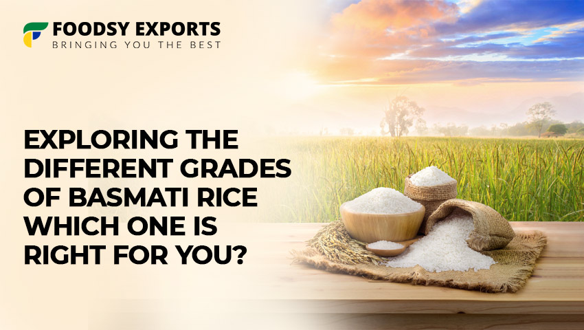 basmati rice exporters