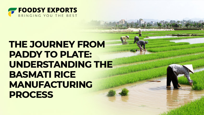 basmati rice exporters