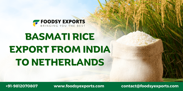 Basmati Rice Export From India To Netherlands