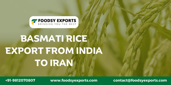 Basmati Rice Export from India to Iran