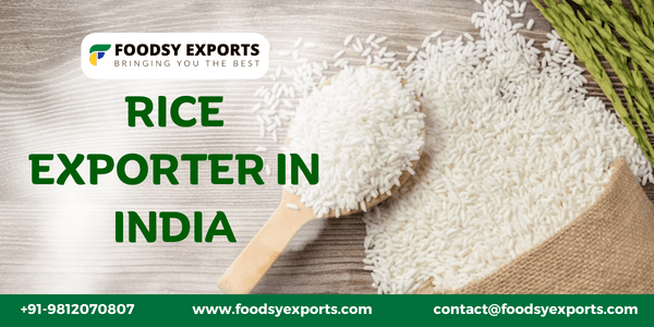 Rice Exporter in India