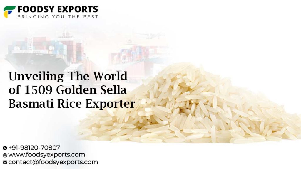 1509 Golden Sella Basmati Rice Exporter