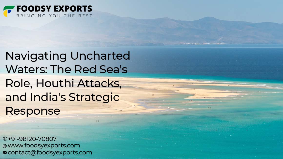 Navigating Uncharted Waters: The Red Sea's Role, Houthi Attacks, and India's Strategic Response